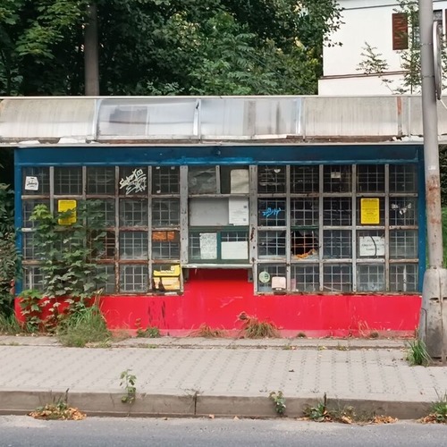 Das Zirpen der Giraffentauben